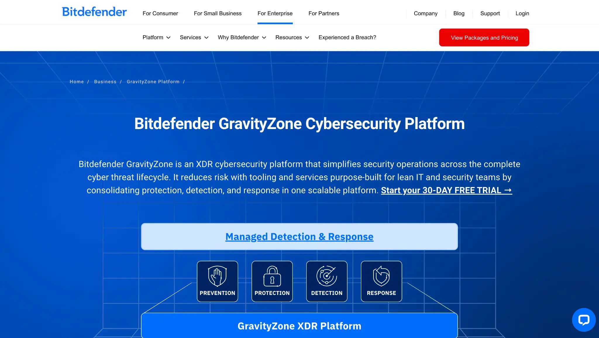 Pricing details for Vision One bundles per endpoint